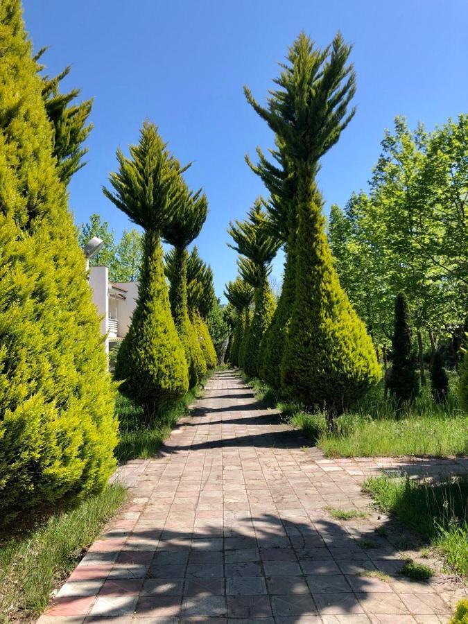 Atlant Hotel Nabran Bagian luar foto